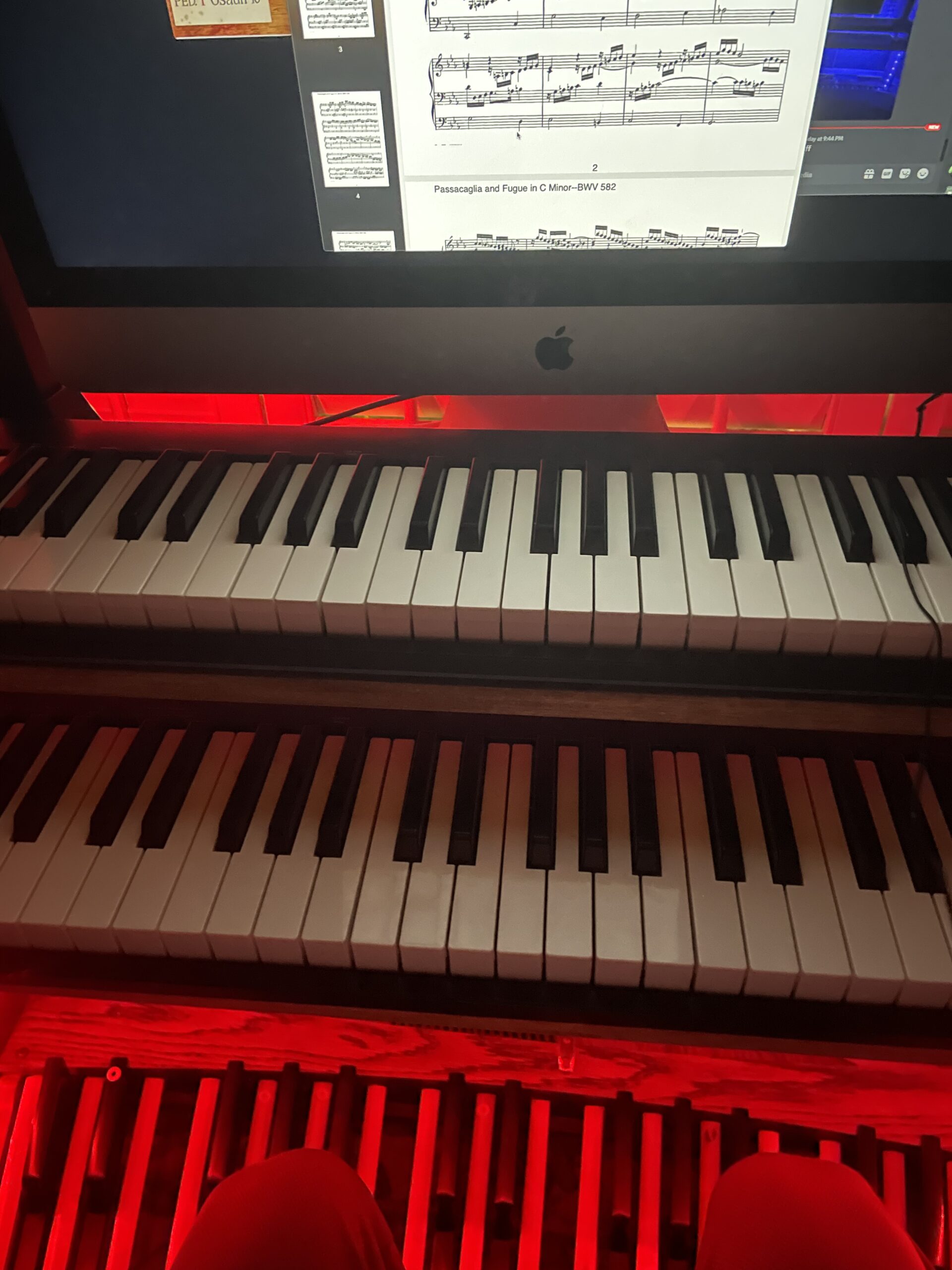 An image of the organ setup.
